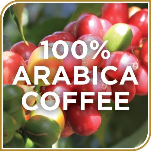Don Francisco's Maple Pecan Flavored Coffee, 100% Arabica, 24 K-Cup Compatible Single-Serve Pods - 100% Arabica With Warmth of Maple and Toasted Pecans With Creamy Caramel Undertones