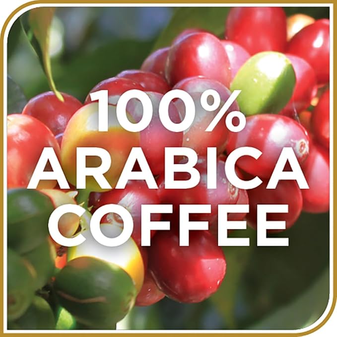 Don Francisco's Blueberry Flavored Coffee - 24 K-Cup Compatible Single-Serve Pods - 100% Arabica - Recyclable through Terracycle - Smooth, Sweet Berry Flavor