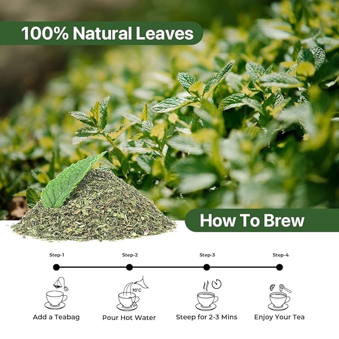 BLUE TEA - Spearmint Tea - 100 Count - Pyramid Plant Based Tea Bag | PCOS RELIEF | Balances Hormones - Support Digestion | Refreshing Flavour - Herbal Tea - Leaf Based - Caffeine free | Ziplock Pouch
