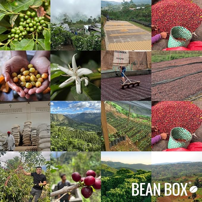 The Village - Roasted by Joe Coffee Company - Whole Bean Coffee - 6 Ounce Bag