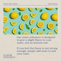 Obrilo Water Enhancer Liquid Flavoring Drops - ZERO Sugar/Calorie, Dye Free, Naturally Flavored Drink Syrup, 2.0 fl oz x 2 Bottles for Kids & Adults (Wonder Melon)