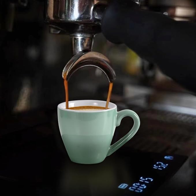 homEdge Porcelain Espresso Shot Cup Set with Saucers and Stainless Steel Spoons - 80 ml / 2.67 oz, Set of 4, Mint Green