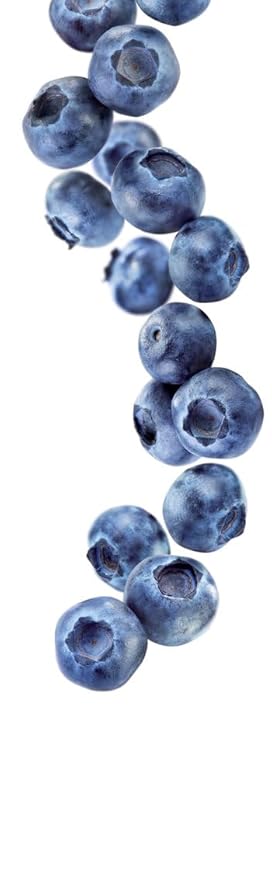 1883 Blueberry Syrup for Drinks, Made in France, 1 Liter Plastic Bottle