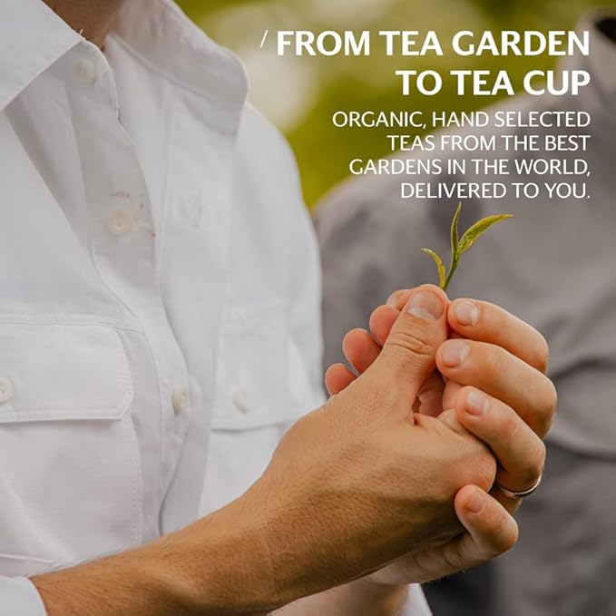Shine Wellness Organic Tea Blend (100 Enveloped Pyramid Sachets w/String & Tag) | Rooibos, Rosehips, Hibiscus, Tulsi, Haritaki | Fairtrade and Kosher | Gives Back 100% of Profits