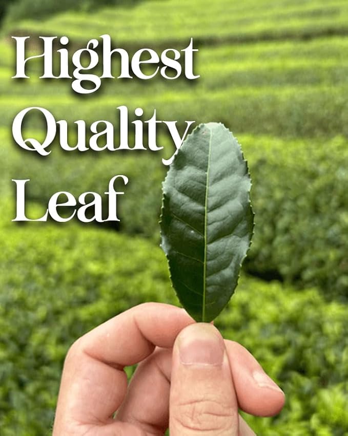 One With Tea – Organic Genmaicha Loose Leaf Tea – Authentic Japanese Green Tea Blend with Roasted Brown Rice for a Smooth, Nutty Flavor – USDA Certified Organic