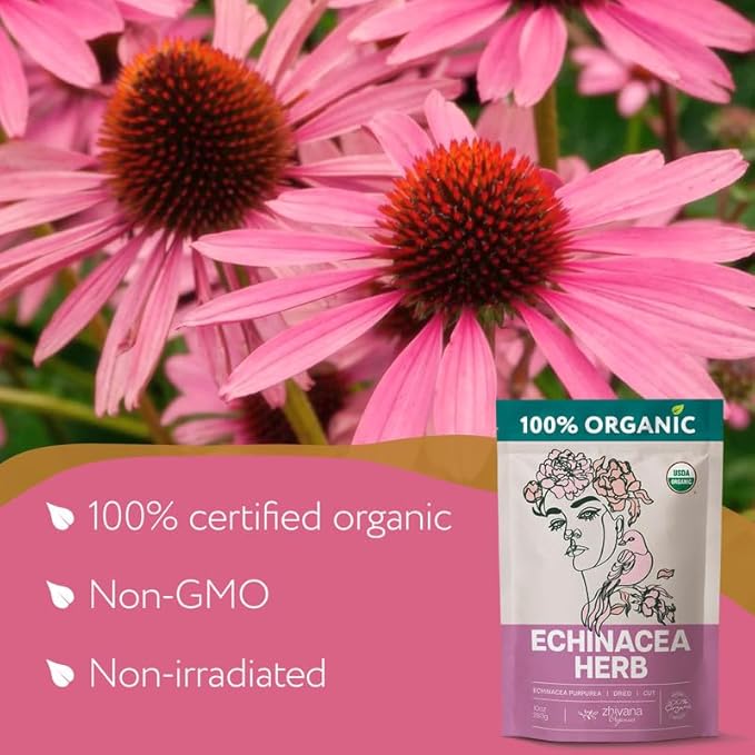 Organic Echinacea Tea Loose Leaf (4 oz.) – Echinacea Herb - Immunity Tea - Respiratory, Digestion - Equinacea Organica