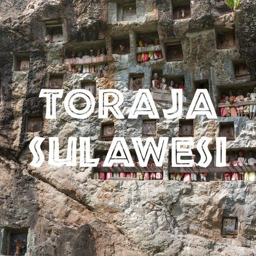 Toraja Sulawesi White Eagle Coffee, Fair Trade, Ground, Fresh Roasted, 5 lbs