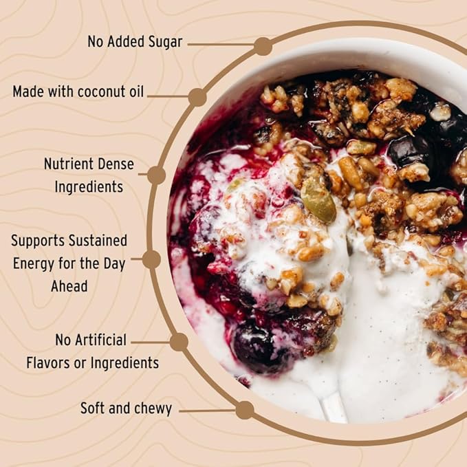 Wildway Keto Granola | Coconut Cashew | Grain-Free, Certified Gluten-Free Cereal | Vegan, Low Carb | No Sugar Added | Paleo-Friendly | Non-GMO Fruit & Nut Clusters | Nutrient-Rich Snack | 8 oz, 6 Pack