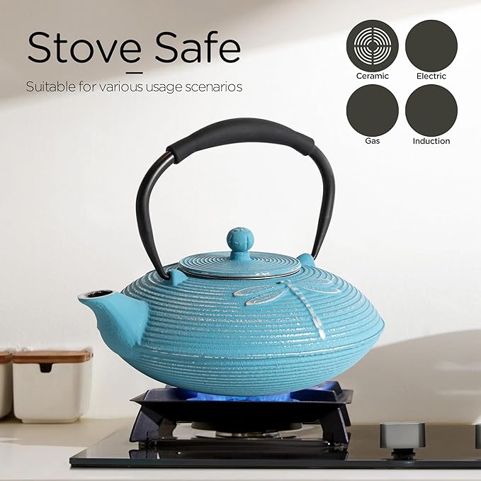 Cast Iron Teapot Set with 2 Tea Cups, 7 Pcs Japanese Tea Kettle with Stainless Steel Infuser, Tea Pot Coated with Enameled Interior, Dragonfly Pattern, 28oz 800ml Blue