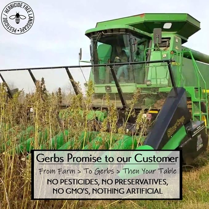 Ground Raw Pumpkin, Sunflower, Chia, Flax, Hemp Seed Meal by Gerbs - 4 LBS - Top 11 Food Allergen Free & Non GMO - Vegan & Kosher – Premium Full Oil Content Protein Powder