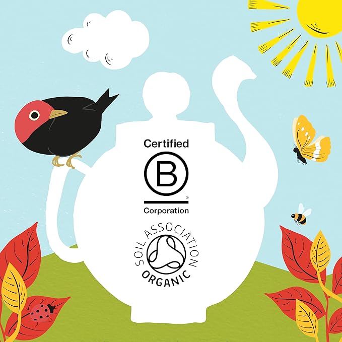 Clipper Tea, English Breakfast, Fairtrade, Organic, Plant-Based, Caffeinated British Tea, 6 Pack, 120 Unbleached Tea Bags