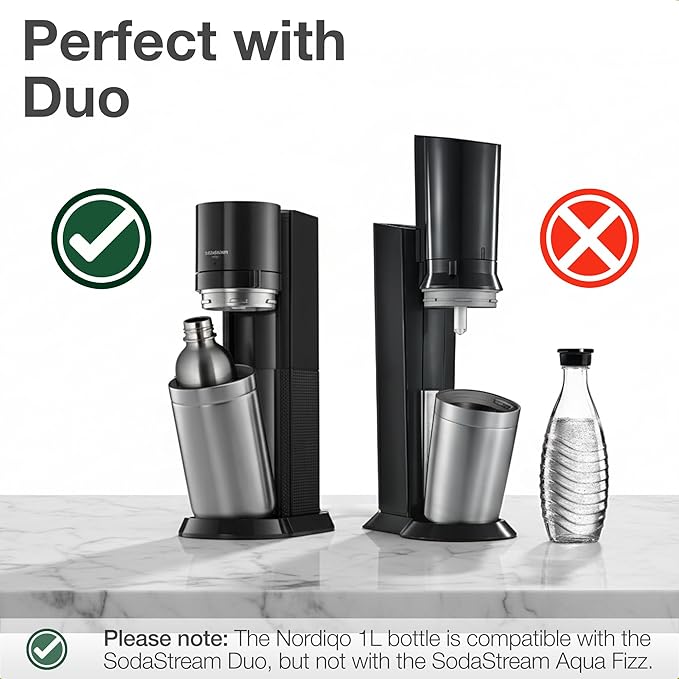 Premium 33 oz Stainless Steel Bottle | Compatible with Aarke Carbonator 3, Sodastream (excl. Aqua Fizz + Jet) and many others | Dishwasher Safe, No Expiration Date | 2-Pack