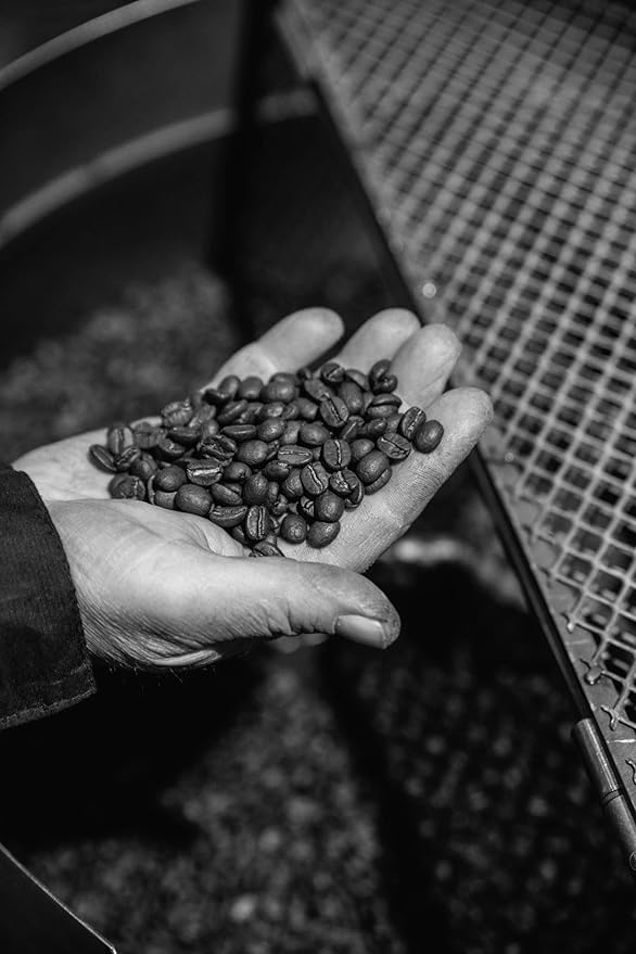 Bristot Buongusto Italian Espresso Coffee Beans – Whole Bean, Medium Roast, Low Acid – 2.2 lb (1kg) Bag – Smooth, Bold Flavor for Espresso