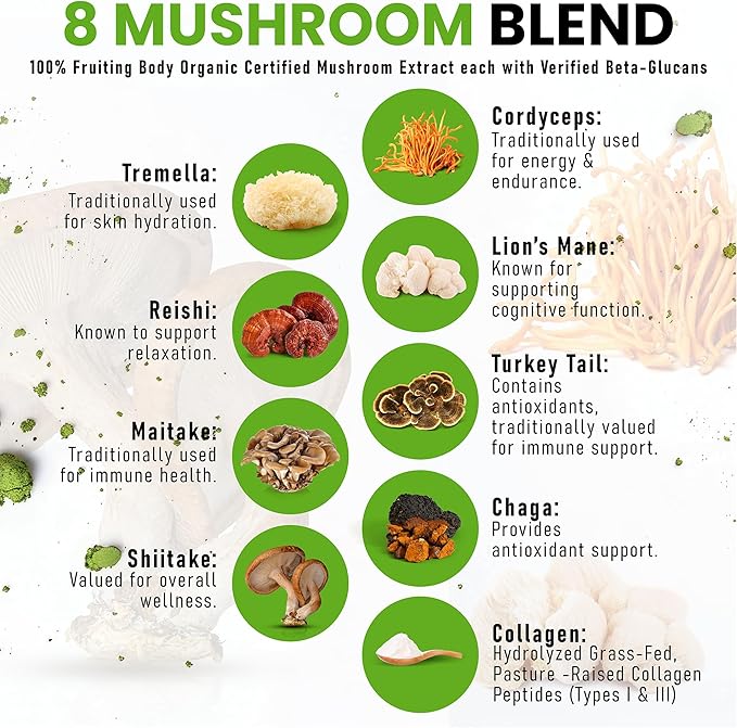 PowderVitamin Organic Ceremonial Mushroom Matcha Certified Pesticide-Free Grass-Fed Collagen Types I & III 8 Fruiting Body Mushrooms Tested for Beta-Glucans Focus Digestion & Immunity 30 Servings