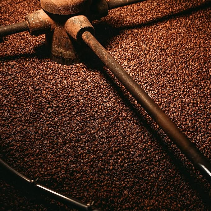 Bristot L’Americano Italian Coffee Beans – Medium Roast Filter Coffee – Low Acid – Smooth & Aromatic Flavor – 2.2 lb (1 kg)