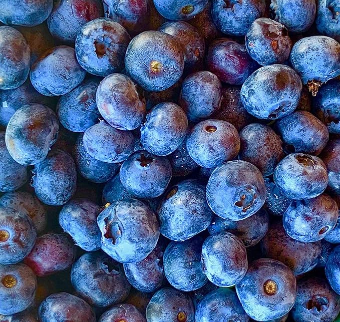 Tree Juice Blueberry Maple Syrup | 100% Pure Grade A Maple Syrup | All Natural, Non GMO, Vegan, Gluten Free, Vegetarian, Paleo | 12 Ounce Bottle