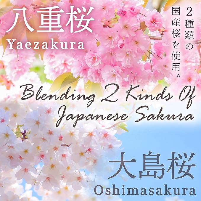 YAMASAN KYOTO UJI Sakura Latte -Creamy and Aromatic Foam- Using Japanese Cherry Blossom 100%, Made in Japan,Sold by Japanese company, 100g(3.5oz)