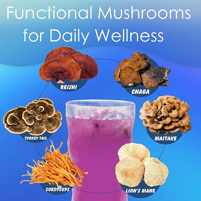 Mushroom Coffee Creamer, Blueberry Flavored, Probiotics, MCT Powder and 6 Mushrooms | Lion's Mane, Turkey Tail, Reishi, Maitake, Chaga, Cordyceps | Boosts Energy, Focus, Supports Immunity | Gluten-Free, Vegan, 6.35 Oz