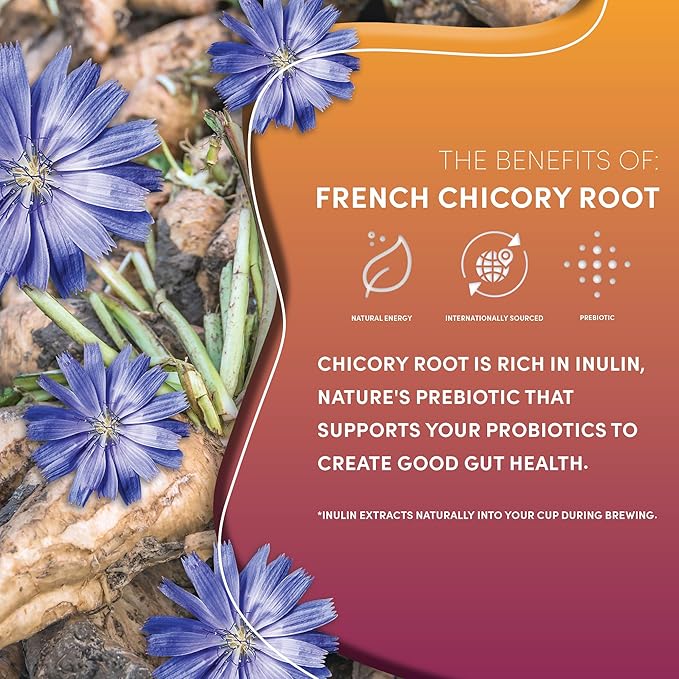 Teeccino Hazelnut Chicory Coffee Alternative - 11 Ounce - Ground Herbal Coffee That’s Prebiotic, Caffeine Free & Acid Free, Medium Roast, (Pack of 3)