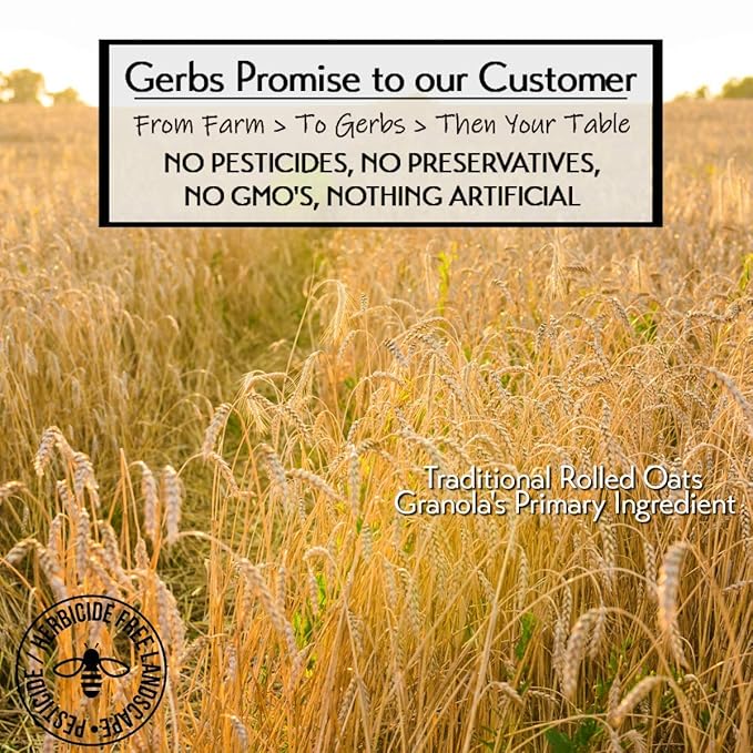 Gerbs Original Seed n' Honey Granola, 2 LBS. - Top 14 Food Allergy Free & Non GMO - Keto Safe - Made in Rhode Island …