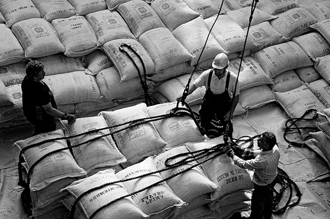 Bristot Tiziano Coffee Beans – Medium Roast Premium Italian Whole Espresso Beans – 2.2 lb (1kg) Bag
