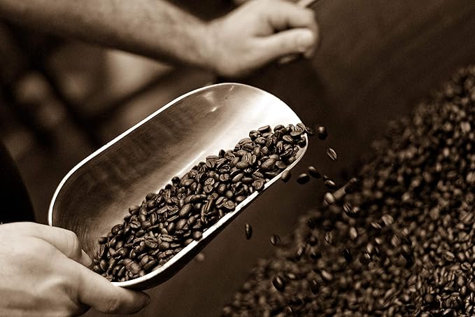 Caffé D'arte Toscana Ground Coffee – Medium Light Roast, Light & Sweet Flavor with Cocoa Notes – Fresh Roasted in Seattle, Crafted for Drip Coffee Makers – 1 lb Bag, Pack of 2