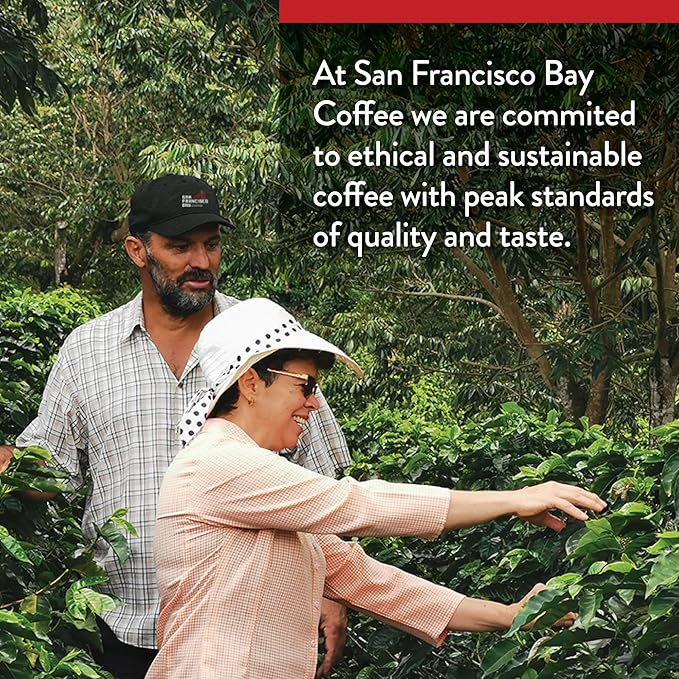 San Francisco Bay Whole Bean Coffee - DECAF Bay Bridge Blend (2lb Bag), Medium Roast, Swiss Water Processed