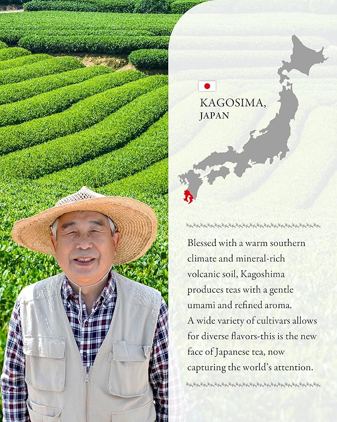 SUMIRE Sencha Pure Refreshment from Kagoshima Deep-steamed (Fukamushi) - First Harvest Leaves, Rich Umami, Vibrant Green Color, Antioxidant-Rich, Smooth Finish (Sencha)